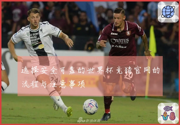 选择安全可靠的世界杯竞猜官网的流程与注意事项