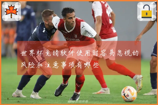 世界杯竞猜软件使用时容易忽视的风险和注意事项有哪些
