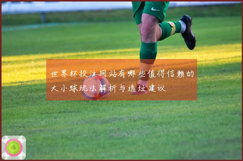 世界杯投注网站有哪些值得信赖的大小球玩法解析与选址建议