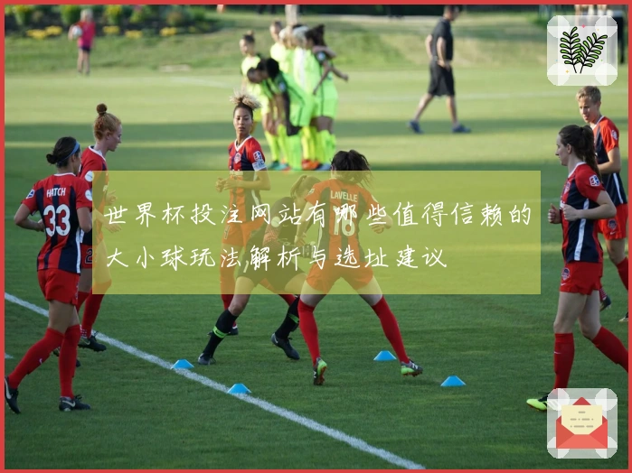 世界杯投注网站有哪些值得信赖的大小球玩法解析与选址建议
